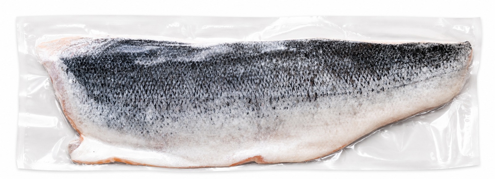 Salmón Salar Filete con Piel